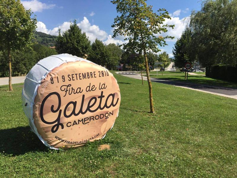 Llanars, En Vall De Camprodon Vistas Montana De Frente, Ascensor, Orientacion Sur, Chimenea, Wifi, Mollo Park, Vallter, Hipica, Golf Bagian luar foto